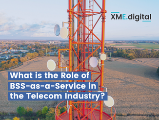BSS-as-a-Service: Does the Telecom Industry Need This Approach?