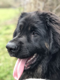 Coco 8 months