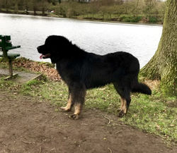 Coco 7 months