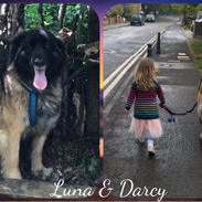 Luna & Darcy