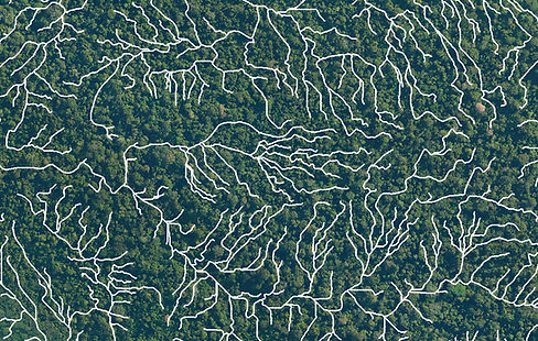 floresta_drenagem_edited.jpg