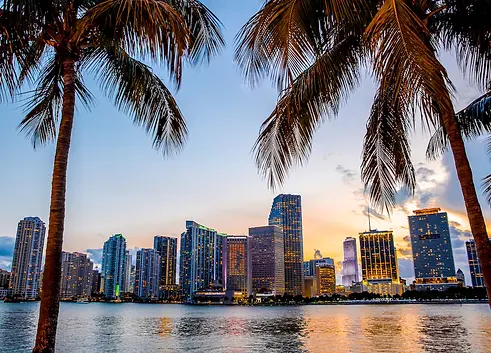 stock-photo-miami-florida-skyline-and-bay-at-sunset-seen-through-palm-trees-428711317.webp