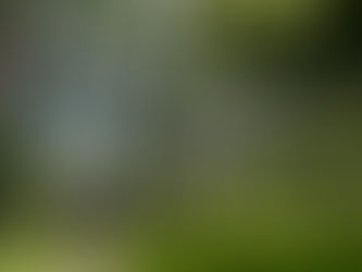 エンドロールムービー 蓼科東急ホテル様