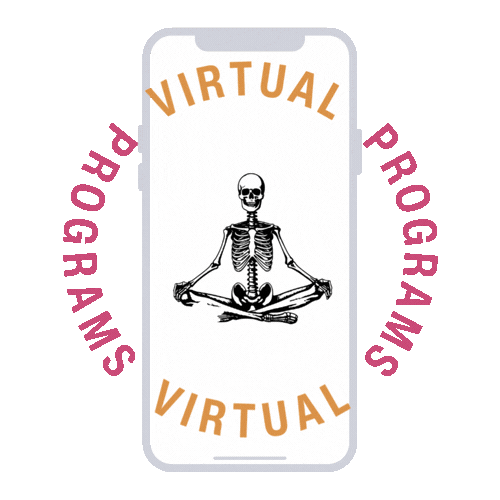 Online Fitness Program