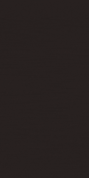 S030_V_P2.gif