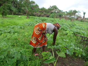 ABC-Development Empowering Women Through Savings and Sustainable Farming
