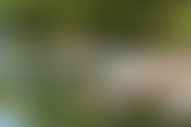 Τα πλαστικά στον πλανήτη μας