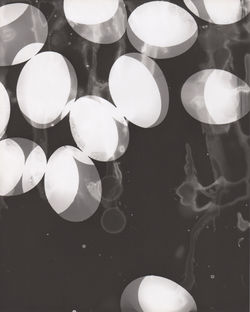 Egg Drop
