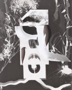 Domestica