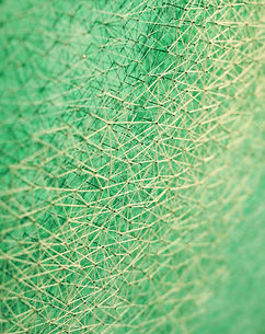 Linescape- Dew detail.JPG