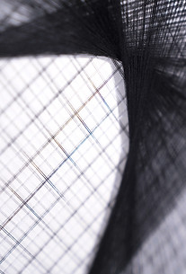 Expanding detail _edited_edited_edited.j