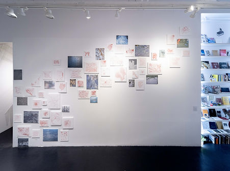 Into A River 2024.JPG