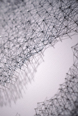 Transforming No_edited.jpg