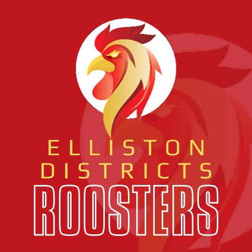 ED-logo-500x500.png