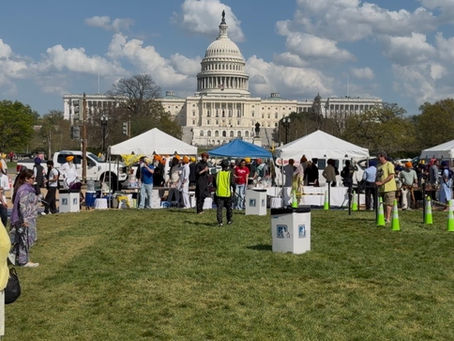 Event cleanup services in progress at the National Mall in Washington DC with US Capitol in background during large public event