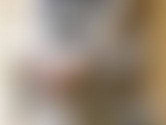 弥生のきもの その２