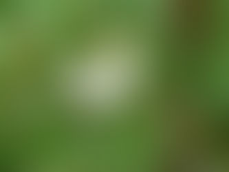 紫野京子のWebsite/yi-kyokoshinoを更新致しました。