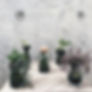 Compost by Soil Social