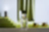 The Scent by Maison de L'Asie