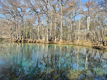 Manatee Springs State Park