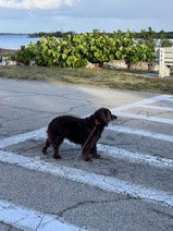 Plenty of Places to Walk