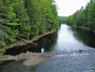Newcomb campground