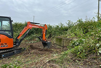 WhatsApp Image 2025-09-30 at 18.44.59_1ebb5a37.jpg