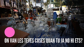 CASA TEVA SON LES TEVES COSES.jpg