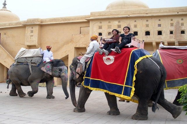 Elephant Ride in Jaipur