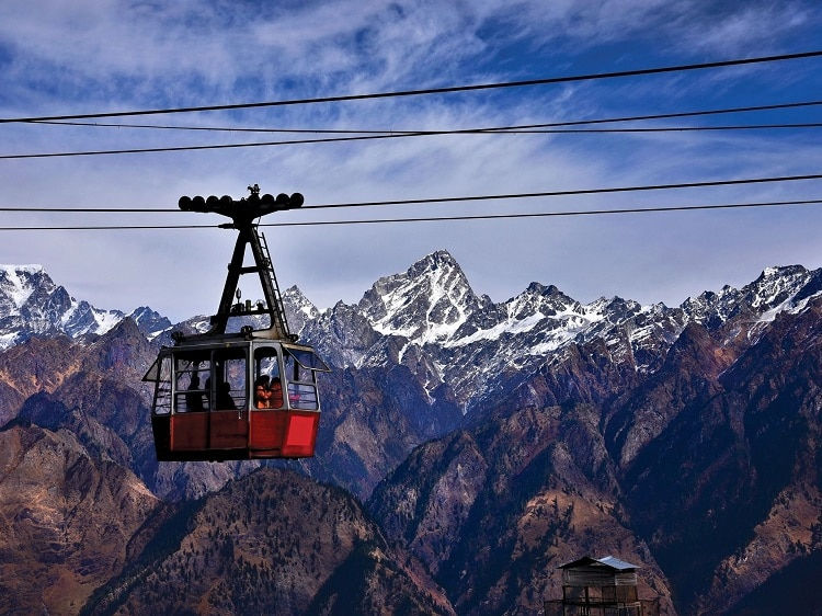 Auli