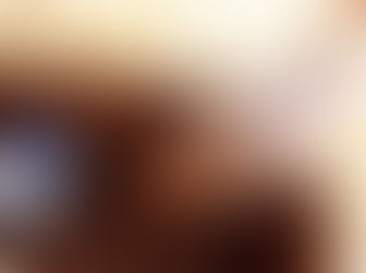 2,000 Year Old Maritime Trading Port Discovered by ASI in Andhra Pradesh