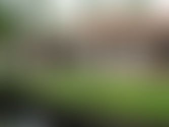 8 Best Homestays in Kerala That Feel Like Home