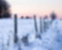 20151229_0684webb.jpg