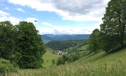 Dittinger-Weide_mit_Blick_ins_Dorf.jpg