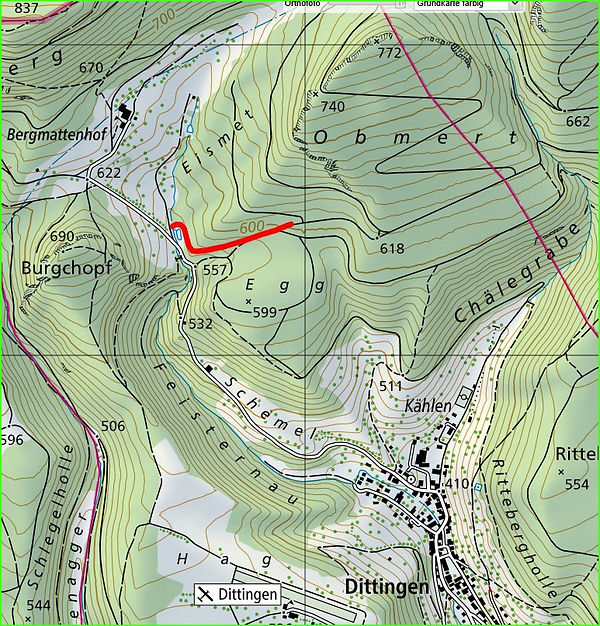 Waldwegsperrung 4.8. bis mitte Sept..jpg