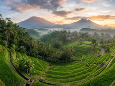 Why Your Brain is Begging You to Go to a Retreat (And Firefly in Bali is the Answer)