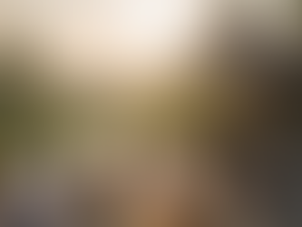 How to Choose the Right Wellness Retreats