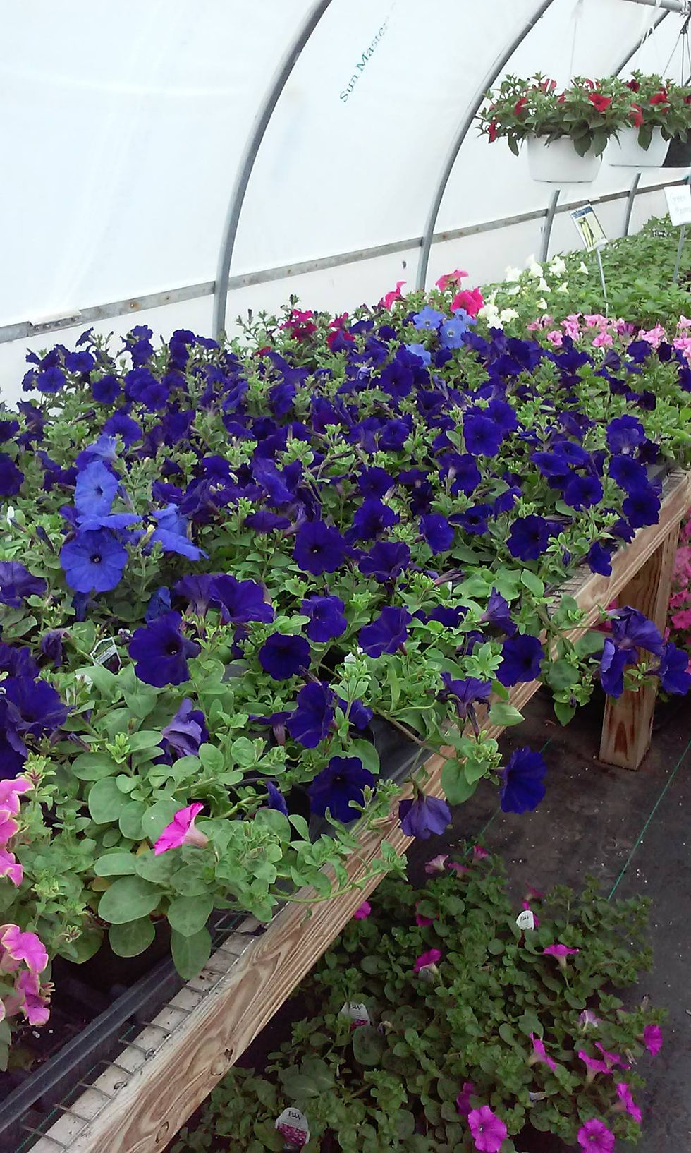 Helen's Country Greenhouse