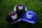 Venice Boys Brand