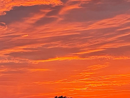 2022.10.17　神原スポーツ公園にて