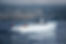 Hodgdon Yachts to build Vita’s all-electric flagship boat