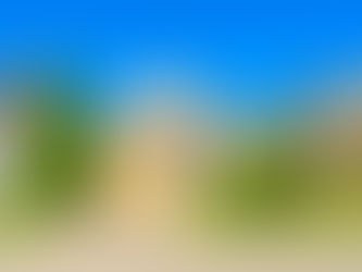 Avoid fines: Five ways to keep your property beautiful and up to code