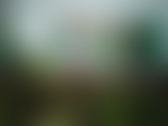 Should You Spend Your Money On Organic Produce? Exploring The True Health Benefits