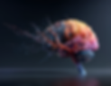 Brain_Right.png