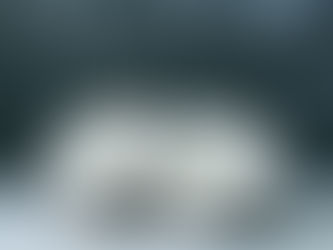 Aloe Vera Juice Versus Coconut Water — Which Works Better?