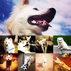 A tribute to our much appreciated custom