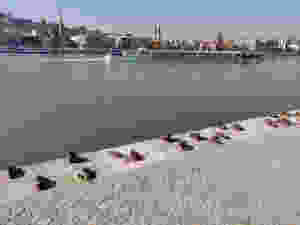 file.jpg