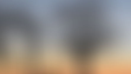 Adversarial Attacks in Machine Learning: Understanding Impact and Mitigation Strategies