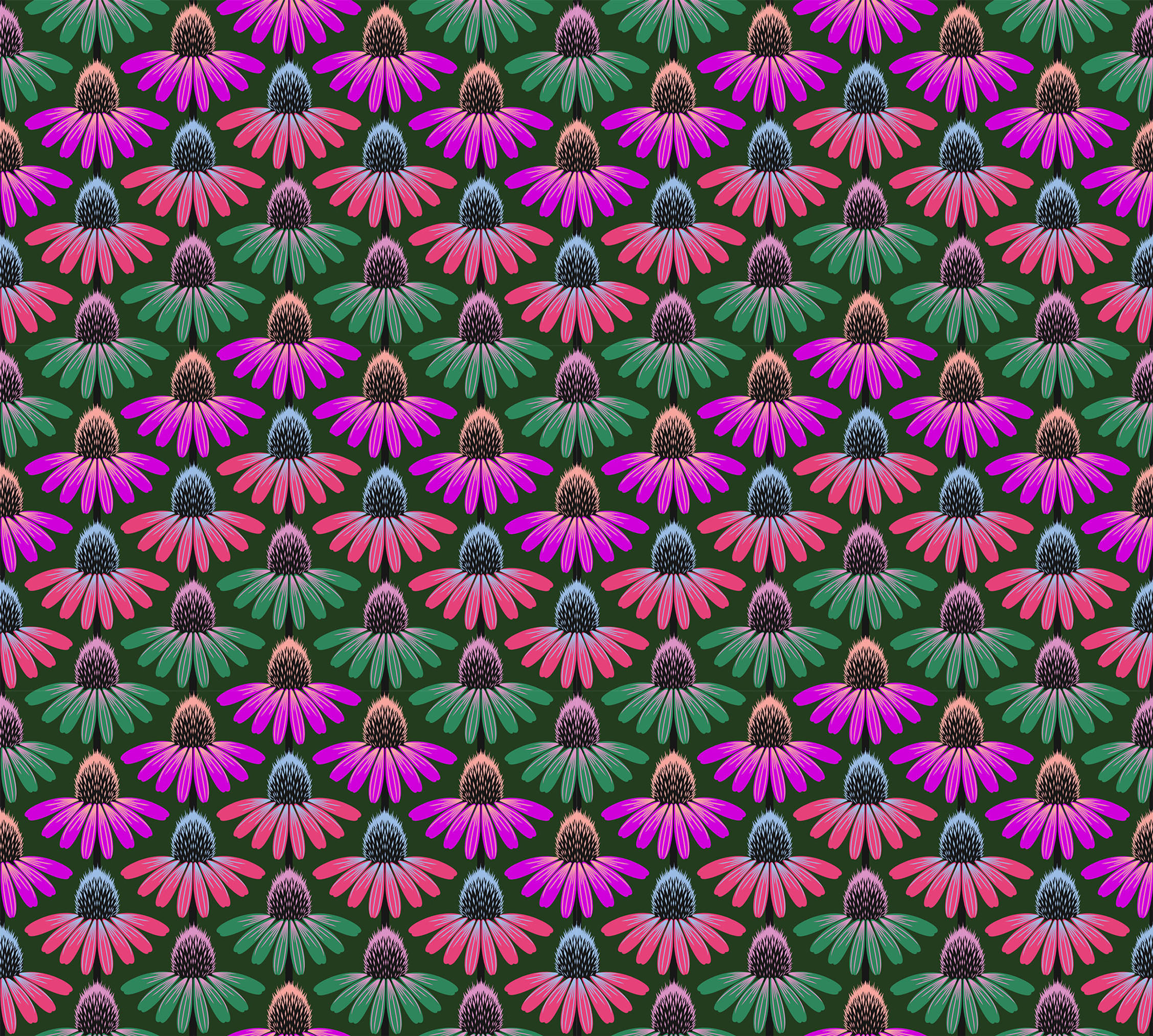 Echinacea Rhythm in Forest