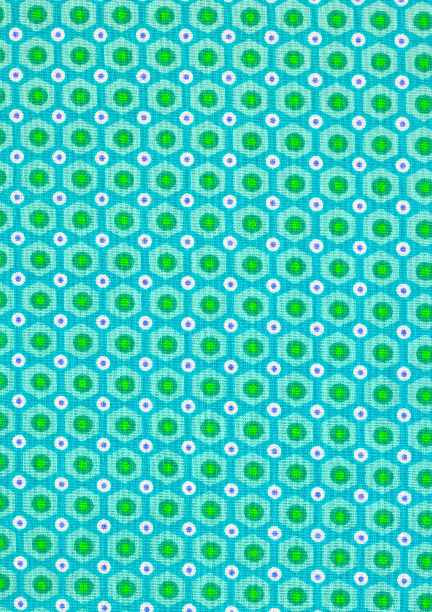 Mikko in Mint